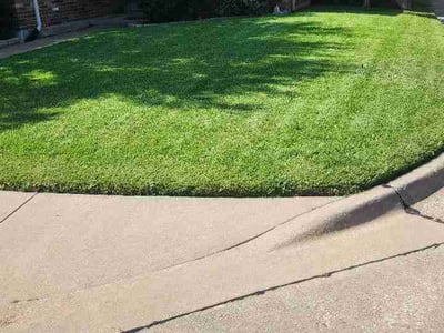 Lawn Care service in Allen, 75013