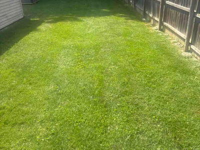 Lawn Care service in Fairfield, 45014