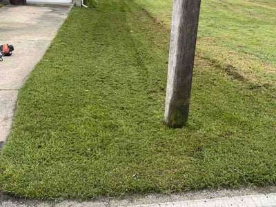 Lawn Care service in Fairfield, 45014