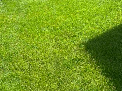 Lawn Care service in Oregon, 53575