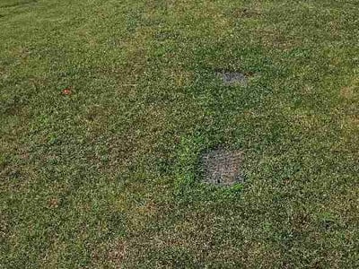 Lawn Care service in Statesville, 28677
