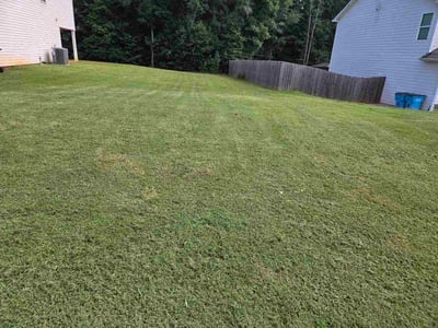 Lawn Care service in Watsonville, 95076