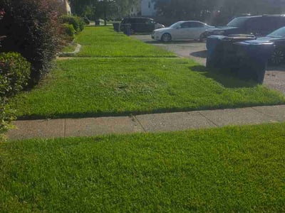 Lawn Care service in Williamsburg, 23185