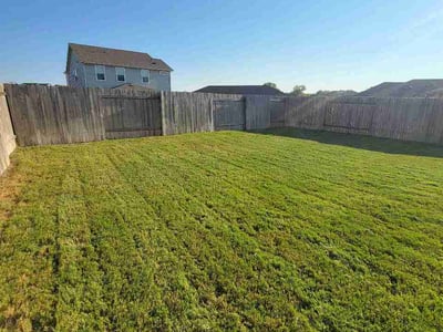 Lawn Care service in Cedar Creek, 78612