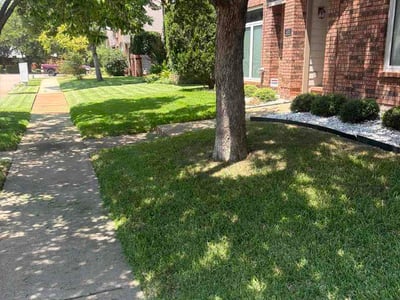 Lawn Care service in Irving, 75061