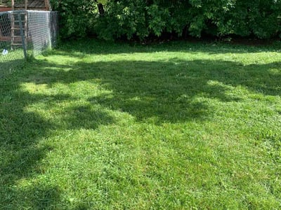 Lawn Care service in Albany, 97321