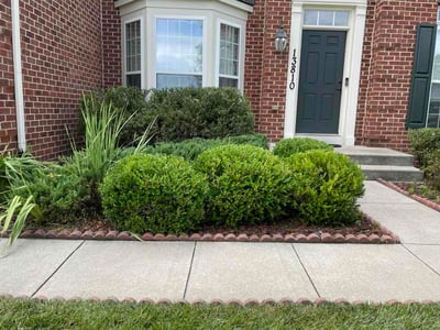 Lawn Care service in Laurel, 20707