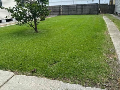 Lawn Care service in Mandeville, 70448