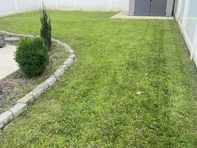 Lawn Care service in Edgewood, 21040