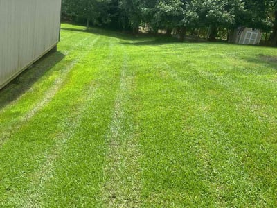 Lawn Care service in Clemmons, 27012