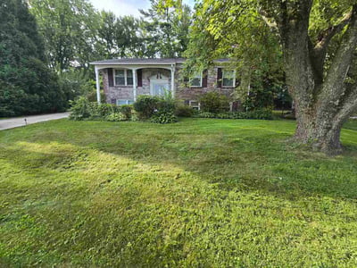 Lawn Care service in Edgewood, 21040
