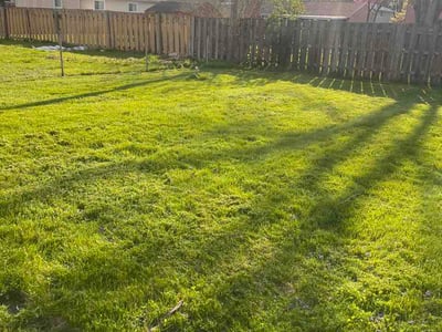 Lawn Care service in Cape May, 08204