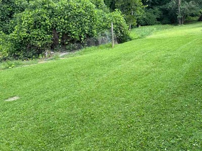 Lawn Care service in High Point, 27260