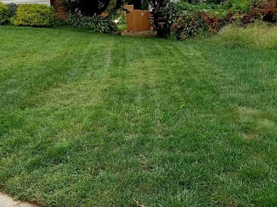 Lawn Care service in Forest Hill, 21050