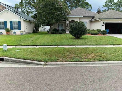 Lawn Care service in Novato, 94945