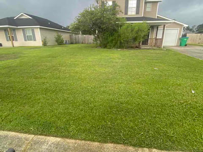 Lawn Care service in Gross Tete, 70740