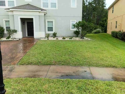 Lawn Care service in Novato, 94945