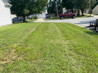 Lawn Care service in Jamestown, 27282
