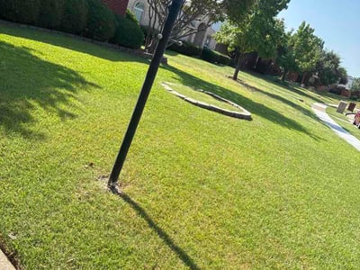 Lawn Care service in Westminster, 92683