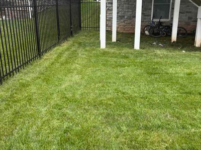 Lawn Care service in Ellicott City, 21043