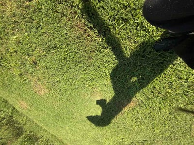 Lawn Care service in Zebulon, 27597