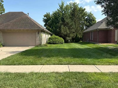 Lawn Care service in ,