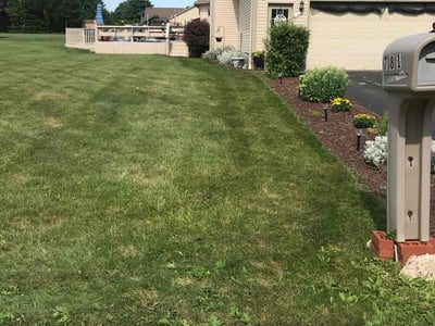 Lawn Care service in ,