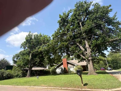 Lawn Care service in Orange, 07050