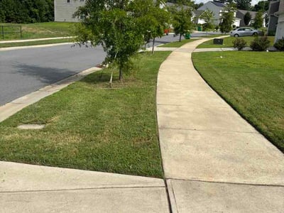 Lawn Care service in Mount Holly, 28120