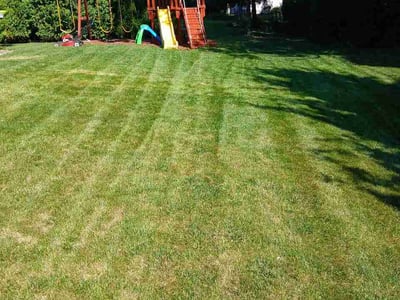 Lawn Care service in Grafton, 53024