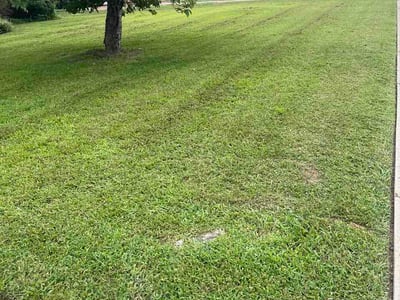 Lawn Care service in Old Hickory, 37138