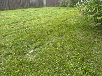 Lawn Care service in Ocean City, 08226