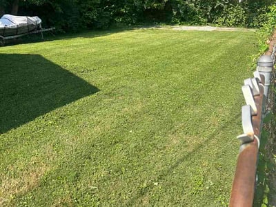 Lawn Care service in Haysville, 47546
