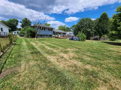 Lawn Care service in Alameda, 94501