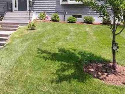 Lawn Care service in Scarsdale, 10583