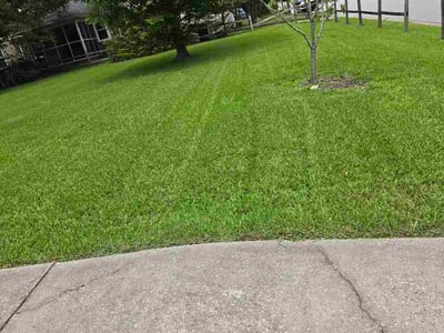 Lawn Care service in Trinity, 27370