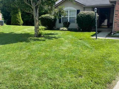 Lawn Care service in Noblesville, 46060