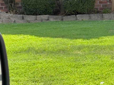 Lawn Care service in Sacramento, 95814