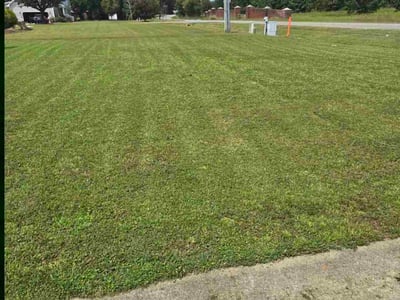 Lawn Care service in Goldsboro, 27530