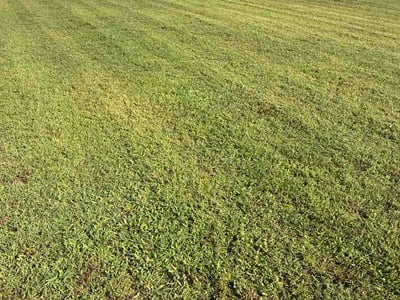 Lawn Care service in Goldsboro, 27530
