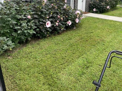 Lawn Care service in Schaumburg, 60194