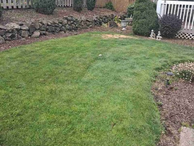 Lawn Care service in Lebanon, 97355