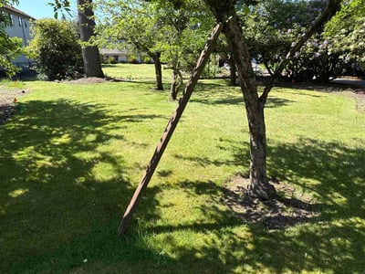 Lawn Care service in Buckley, 98321