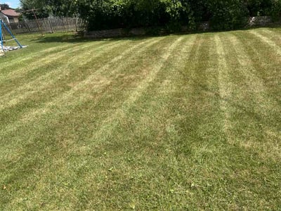 Lawn Care service in Mukwonago, 53149