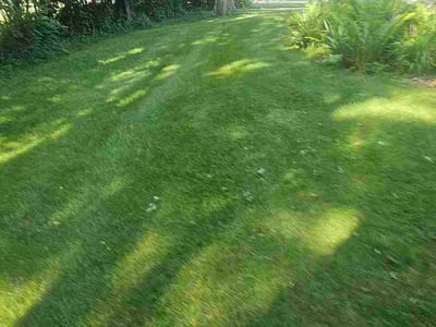Lawn Care service in Mukwonago, 53149