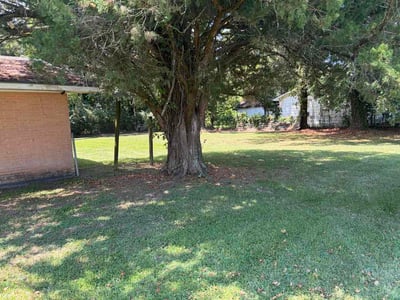 Lawn Care service in Walker, 70785