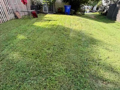 Lawn Care service in Columbia, 21044