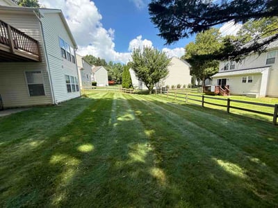 Lawn Care service in Columbia, 21044