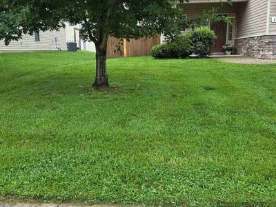 Lawn Care service in Smyrna, 37167