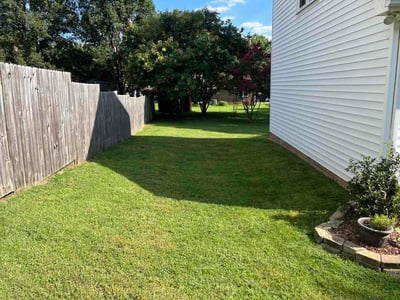 Lawn Care service in Eden, 27288
